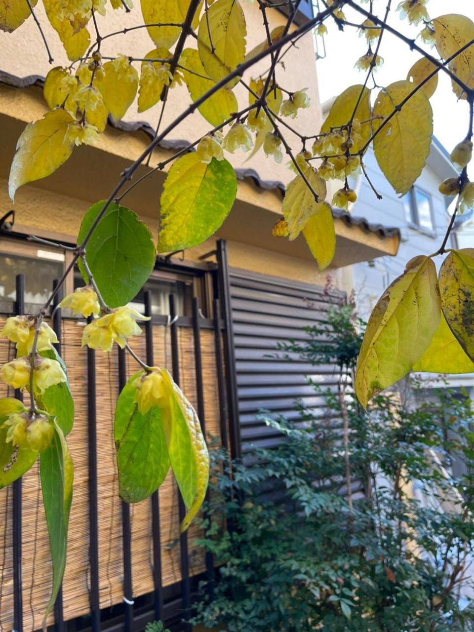Annam Stay Osaka - Whole Three Story House Rental Eksteriør bilde
